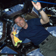 Illustration for article titled Giraffe-Handler, HVAC Repairman, Astronaut